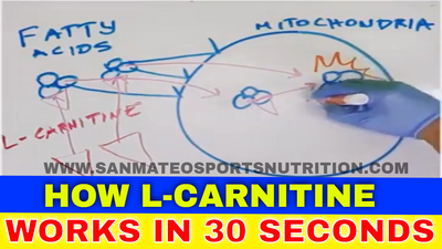 HOW DOES L-CARNITINE WORK in 30 Seconds | L CARNITINE FOR FAT LOSS
